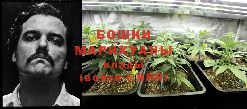 купить наркотики цена  Билибино  Канабис Bruce Banner 